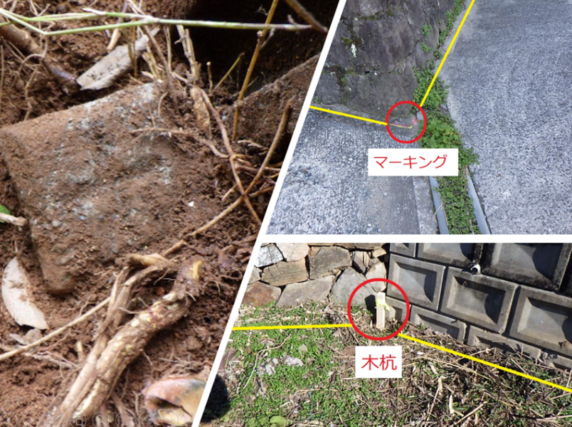 沖縄県宮古島市の行政書士